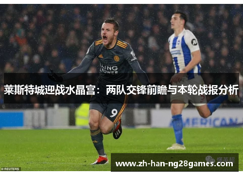 莱斯特城迎战水晶宫:两队交锋前瞻与本轮战报分析