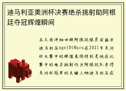 迪马利亚美洲杯决赛绝杀挑射助阿根廷夺冠辉煌瞬间 迪马利亚美洲杯决赛绝杀挑射助阿根廷夺冠辉煌瞬间